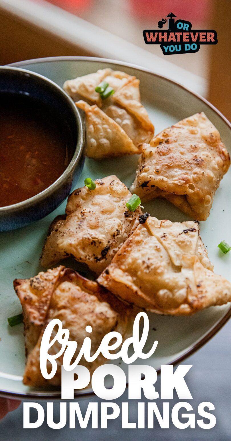 Fried Pork Dumplings 