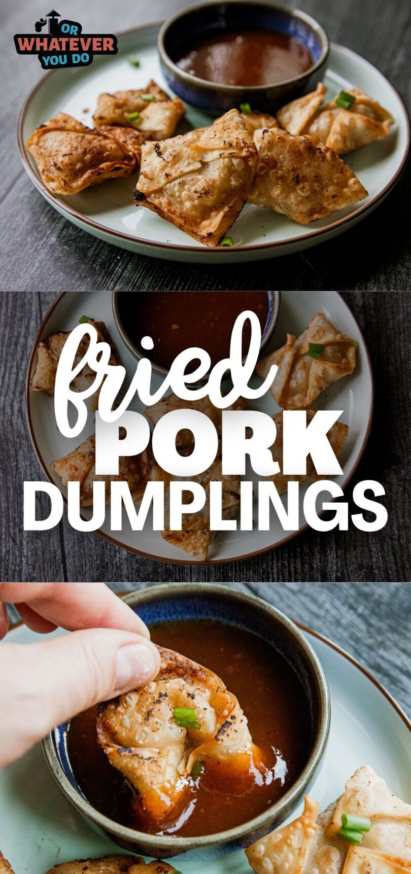 Fried Pork Dumplings