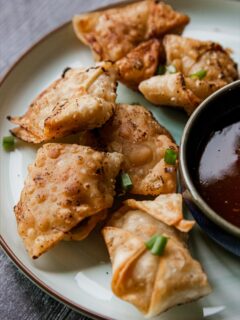 Fried Pork Dumplings