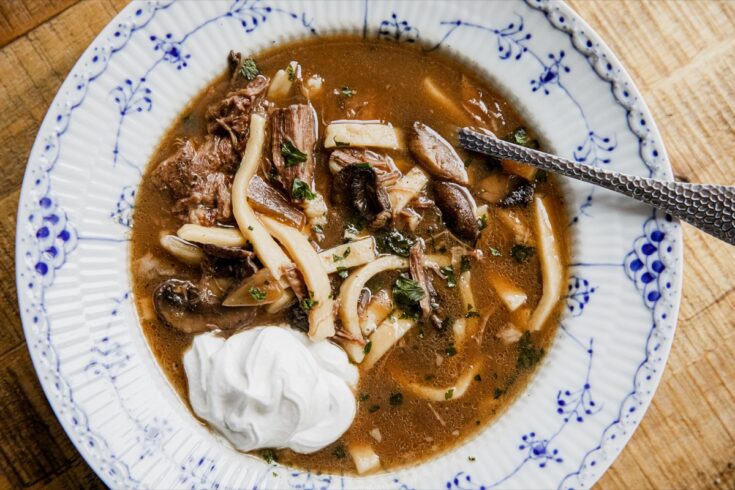 Beef Stroganoff Soup