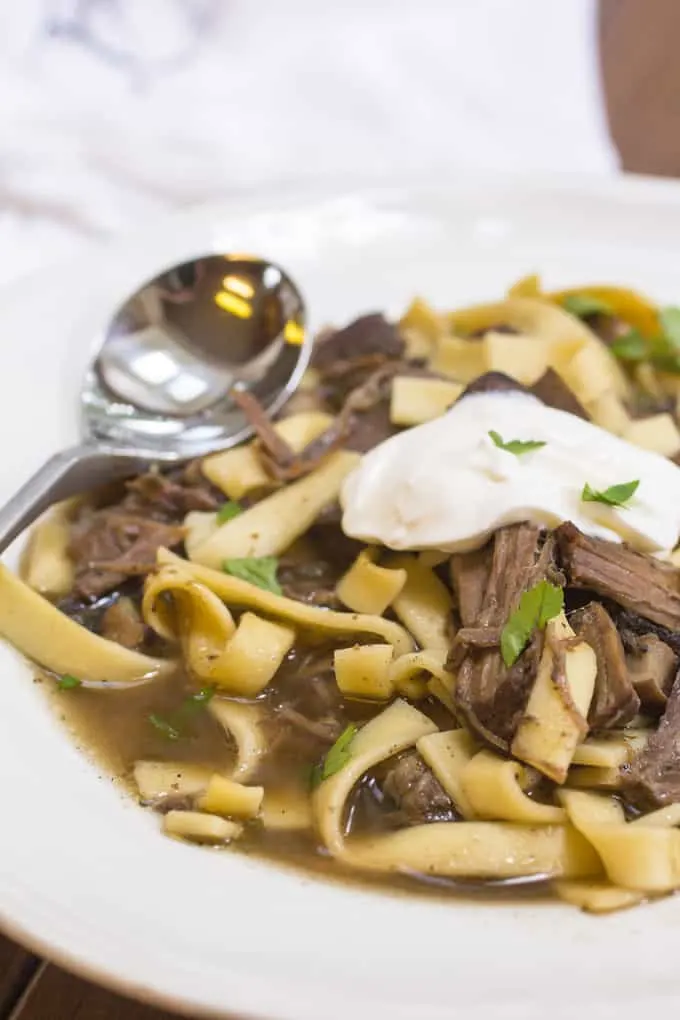 Beef Stroganoff Soup