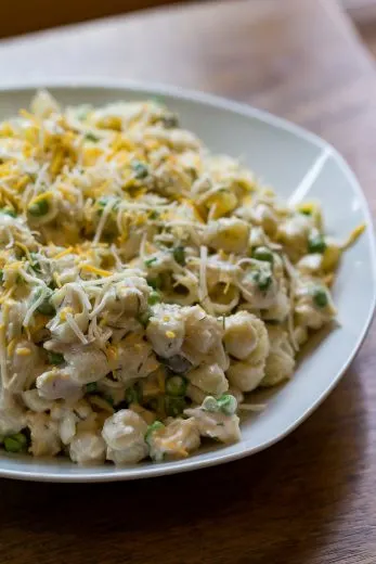 Tuna Pasta Salad Recipe