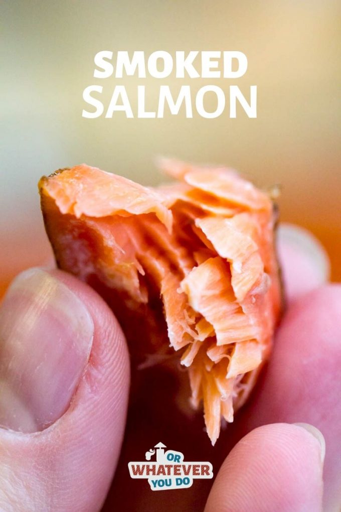 Traeger Smoked Salmon | Hot Smoked Salmon Recipe on the Pellet Grill