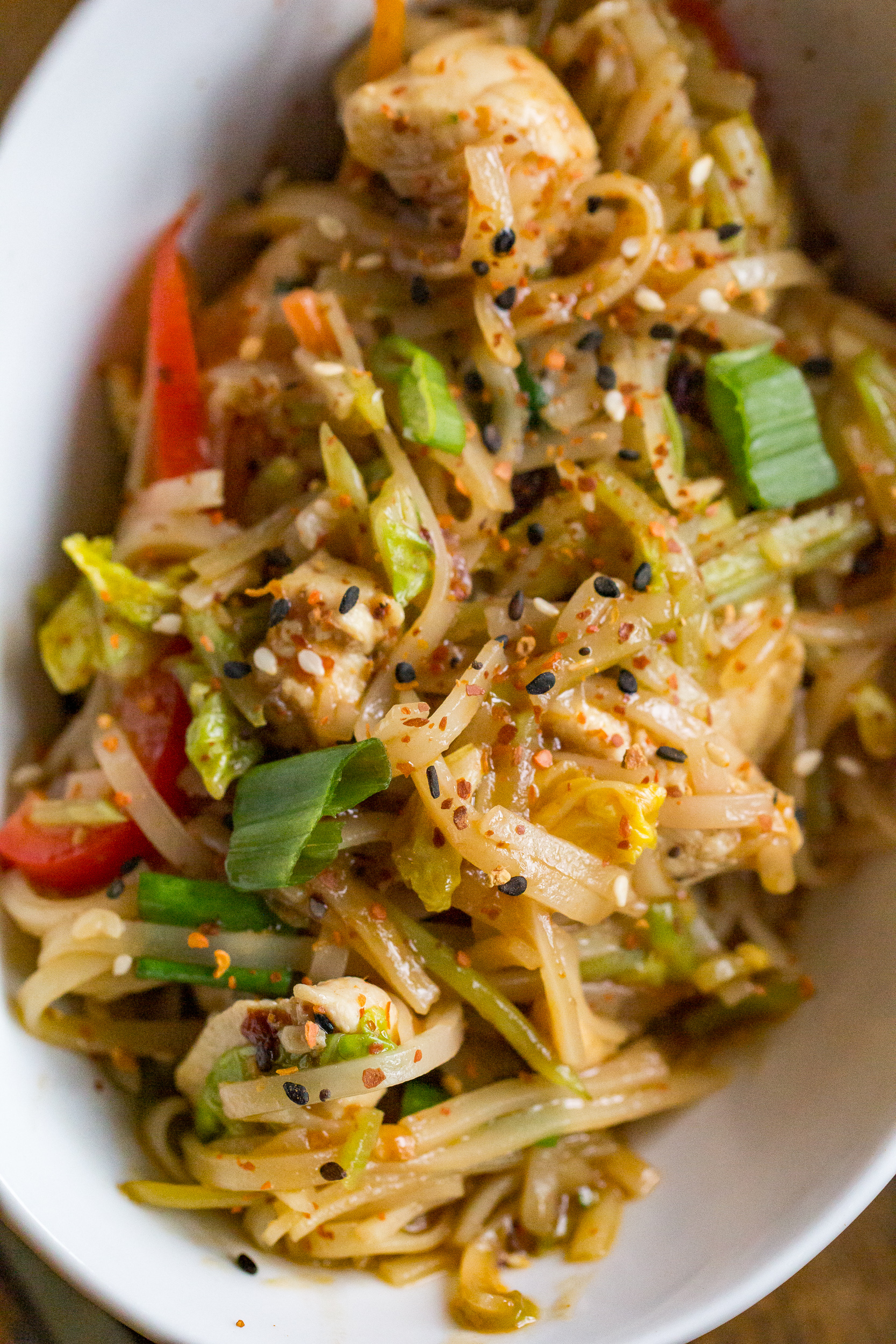 Chicken And Rice Noodles 04 