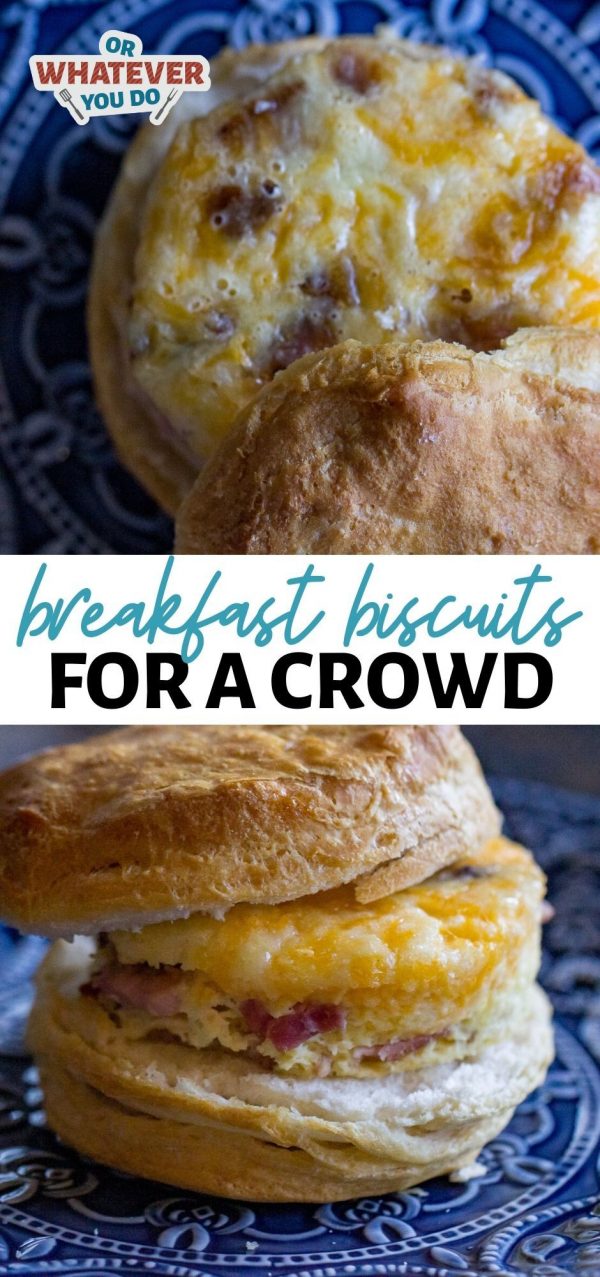 Breakfast Biscuits for a Crowd - Or Whatever You Do