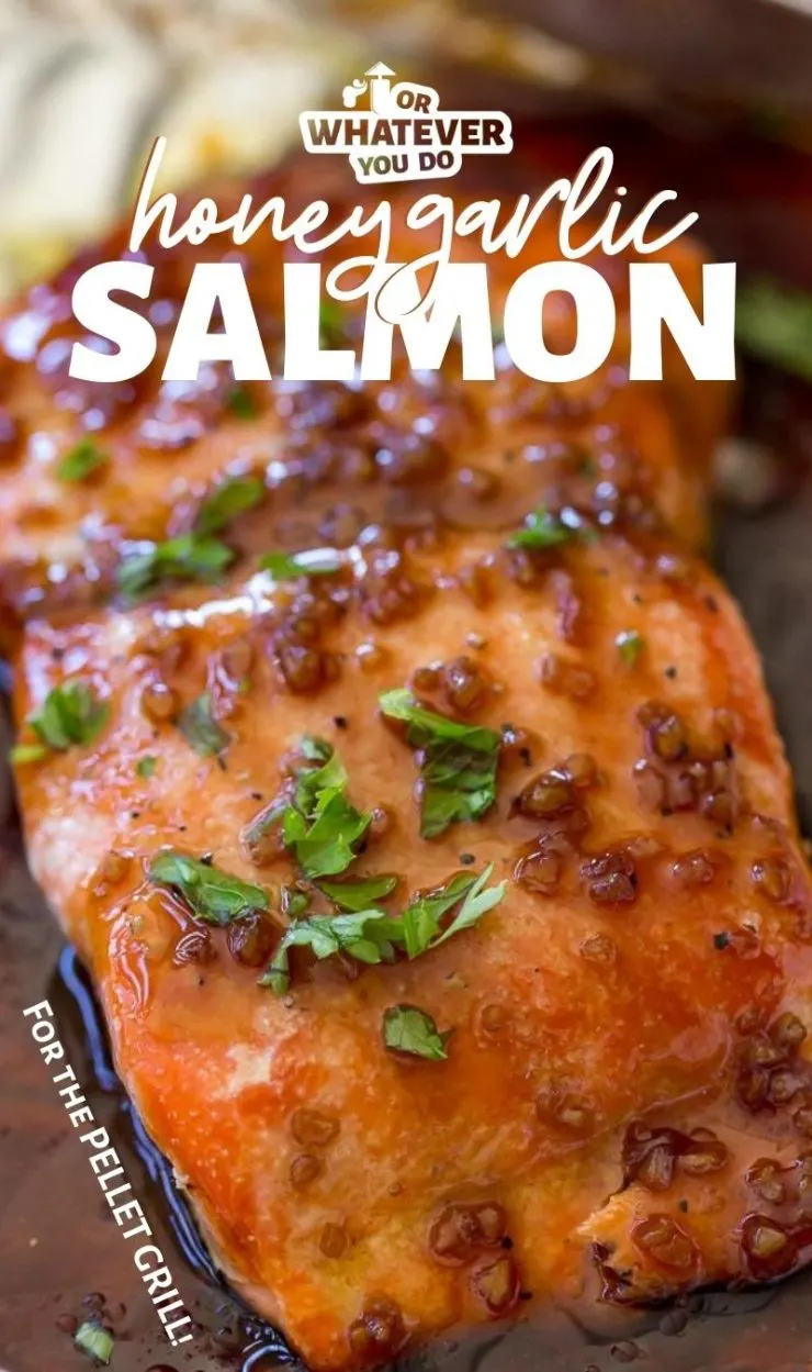 Traeger Honey Garlic Salmon Or Whatever You Do