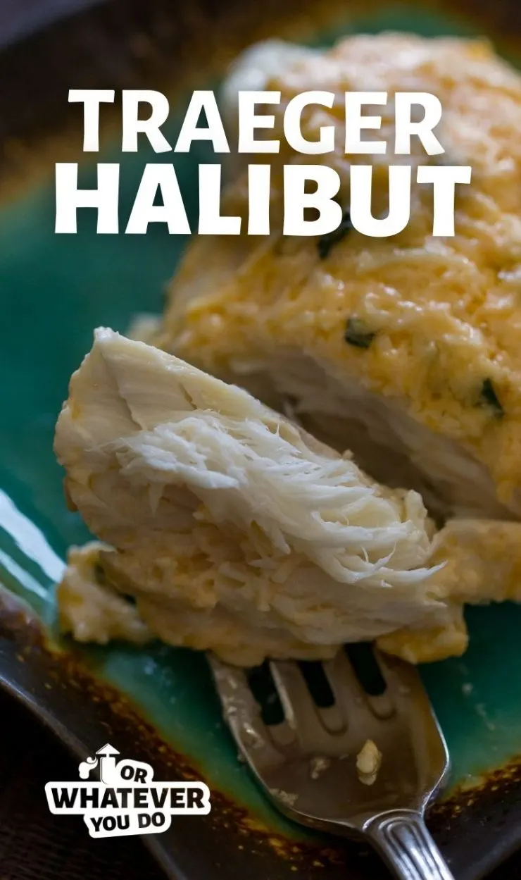 https://www.orwhateveryoudo.com/wp-content/uploads/2020/10/Traeger-Halibut-with-Parmesan-1-740x1249.jpg.webp