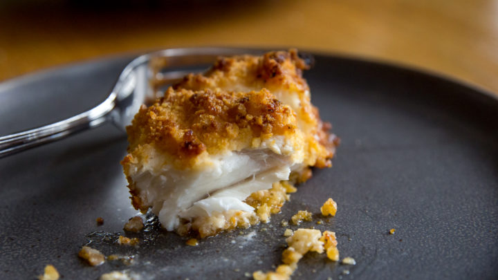 Parmesan store crusted halibut