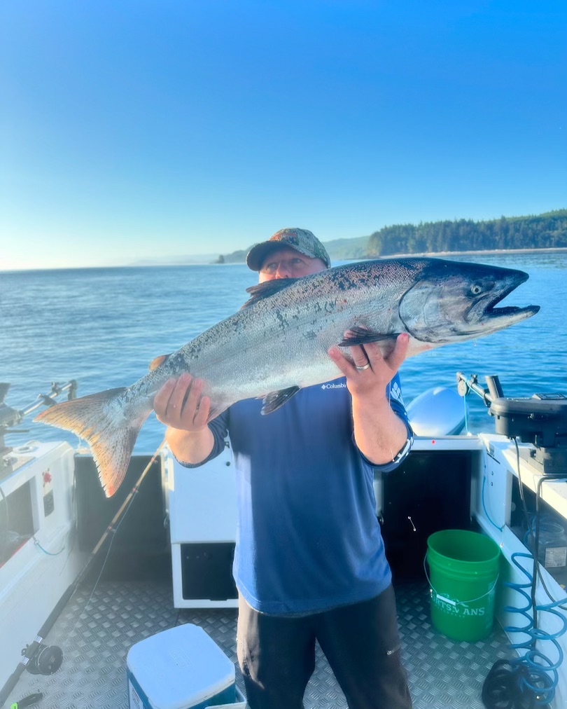 Chinook Salmon