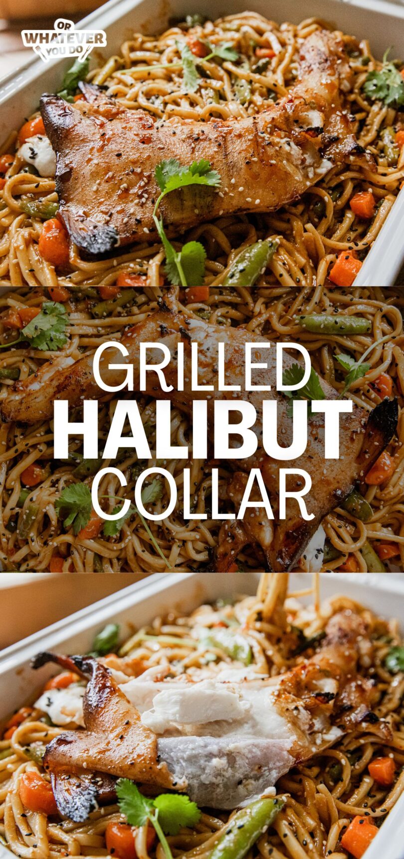 Halibut Collar