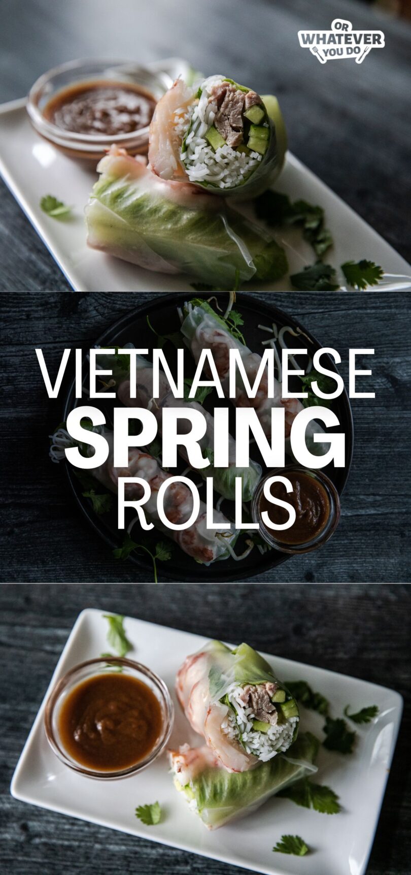 Spring Rolls