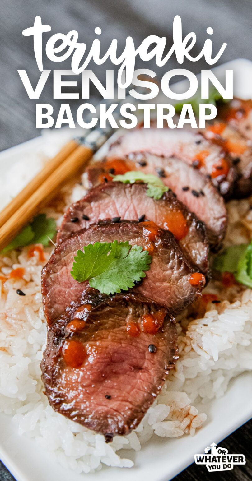 Teriyaki Venison Backstrap