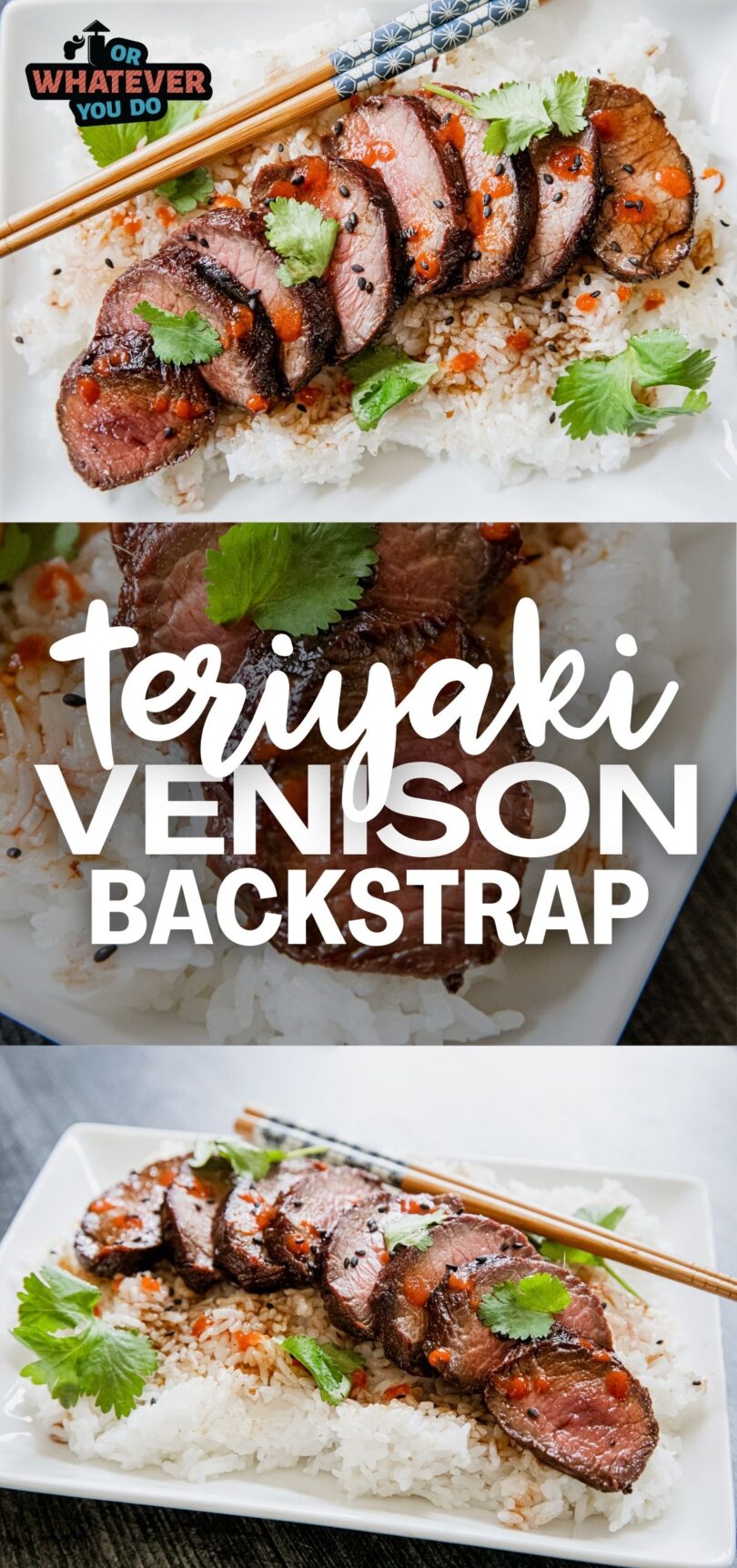 Teriyaki Venison Backstrap